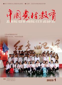 中国农村教育